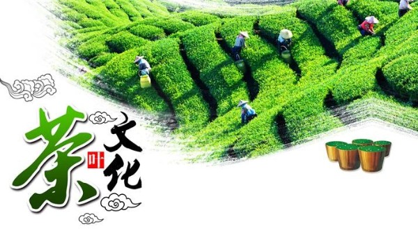 茶叶包装要求规范